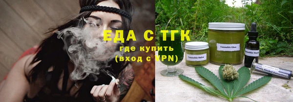 индика Приозерск