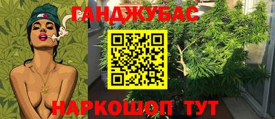 ALPHA PVP Бийск