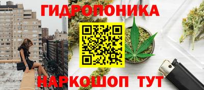ALPHA PVP Бийск