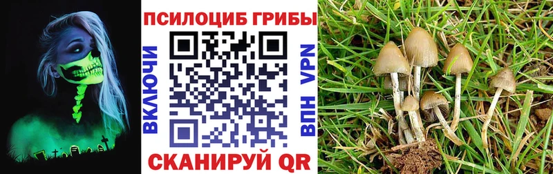 Галлюциногенные грибы Magic Shrooms  Елизово 