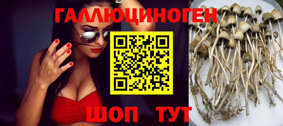 Елизово  Псилоцибиновые грибы Magic Shrooms  Галлюциногенные грибы прущие грибы  Вход с VPN 
