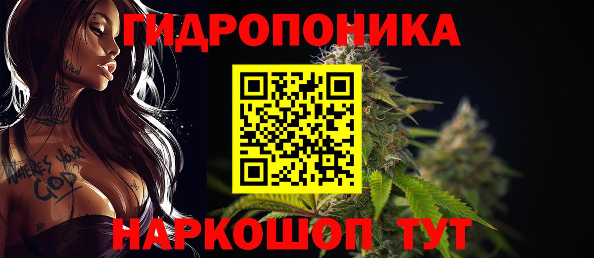 Марихуана MAZAR  Вход с VPN  Канабис план  Елизово  Канабис VHQ 